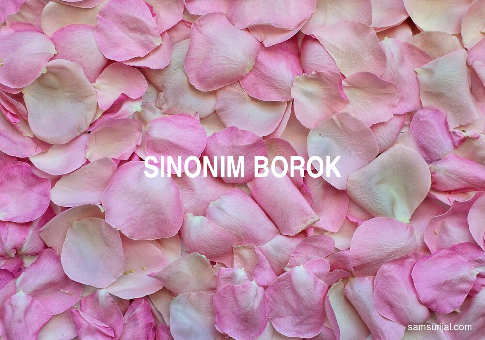 Sinonim Borok