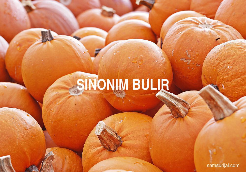 Sinonim Bulir