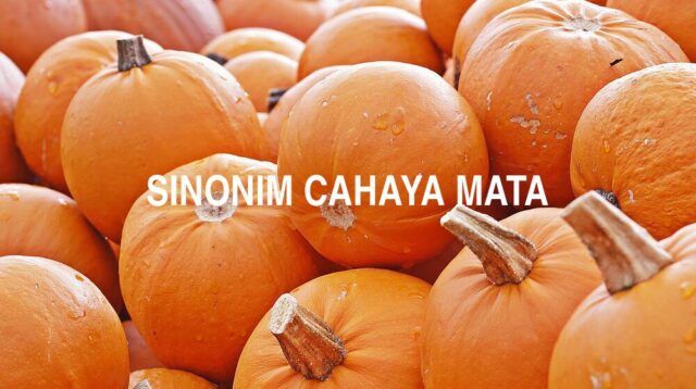 Sinonim Cahaya Mata