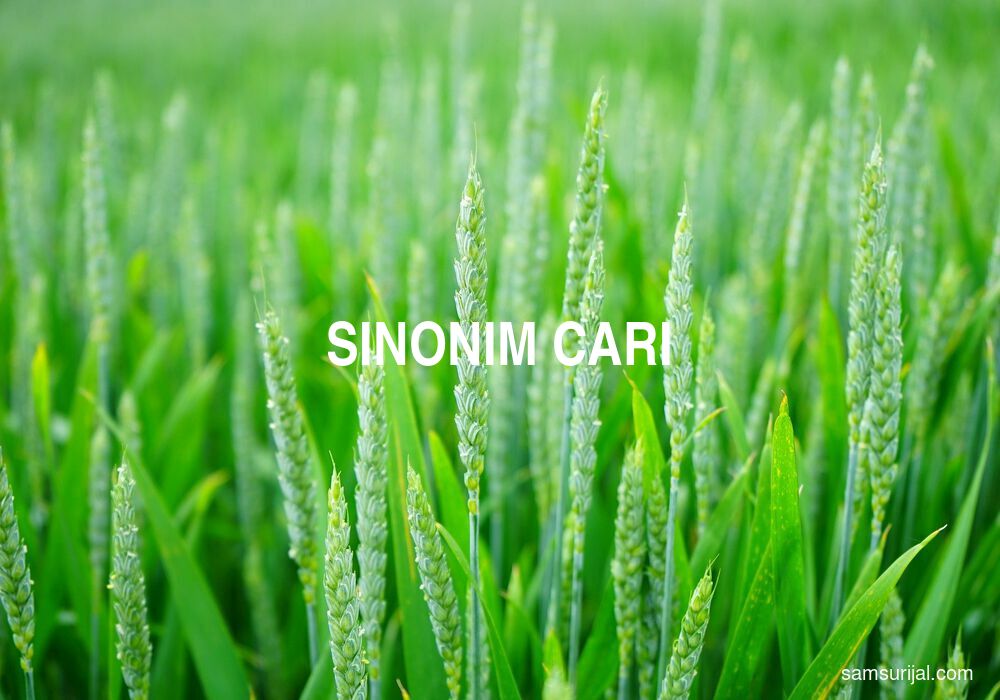 Sinonim Cari