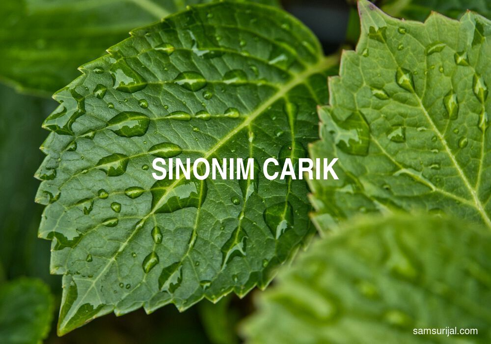 Sinonim Carik