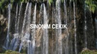 Sinonim Cekik