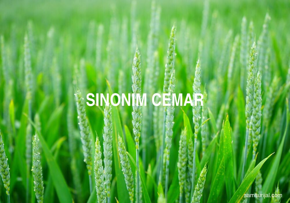 Sinonim Cemar