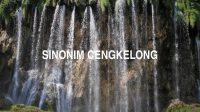 Sinonim Cengkelong