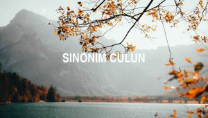 Sinonim Culun