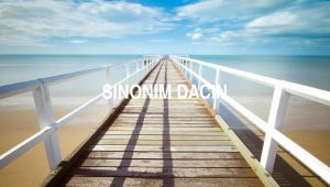 Sinonim Dacin