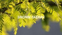 Sinonim Daerah