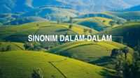 Sinonim Dalam-Dalam