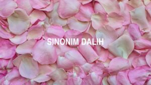 Sinonim Dalih