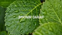 Sinonim Darah