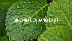 Sinonim Dendang Laut