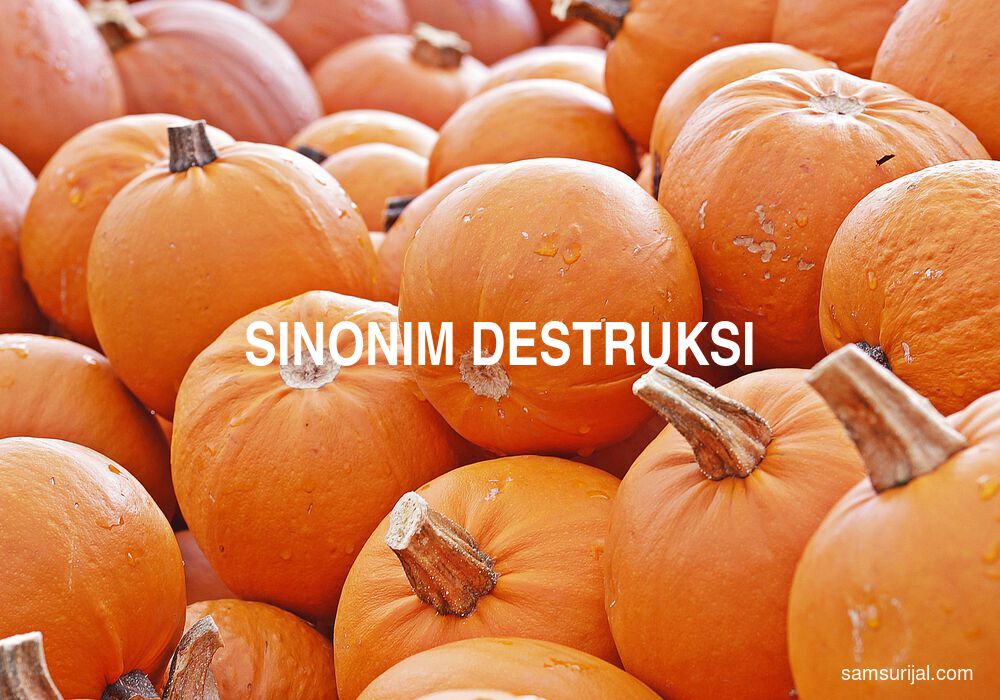 Sinonim Destruksi