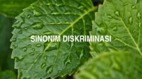 Sinonim Diskriminasi