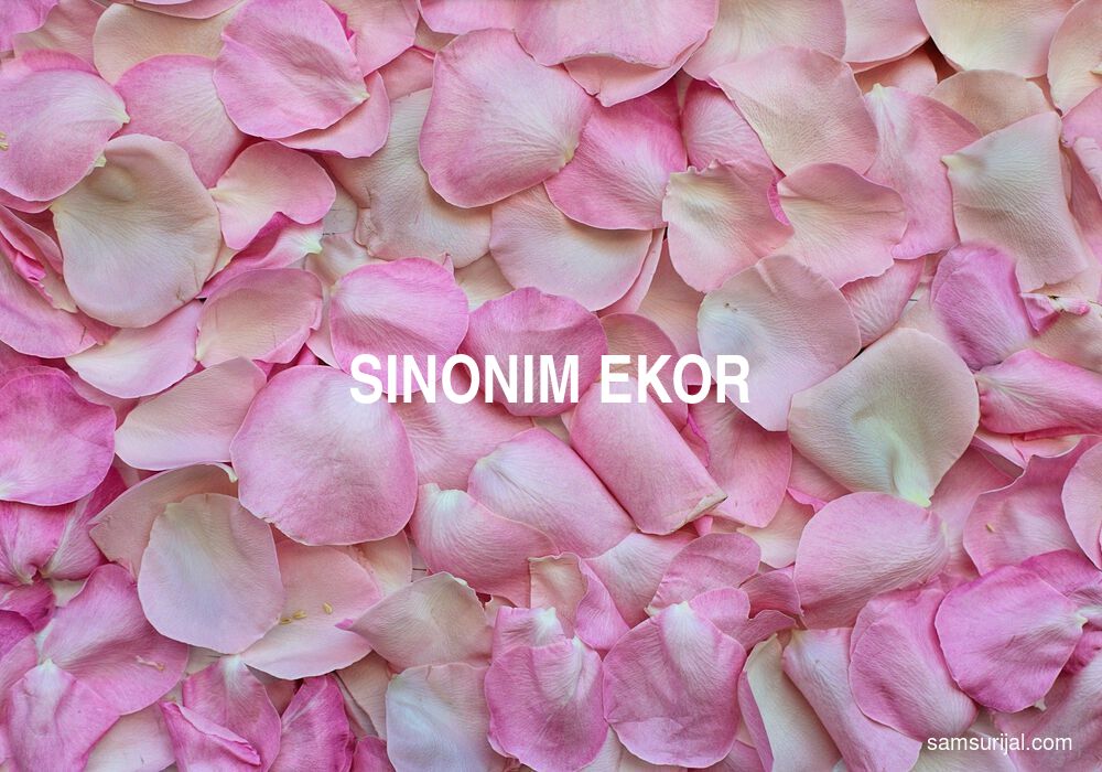 Sinonim Ekor