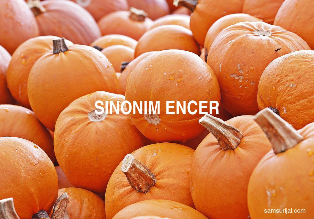 Sinonim Encer