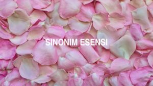Sinonim Esensi