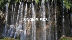 Sinonim Fiksi