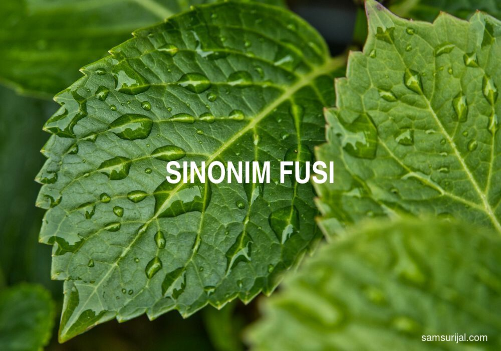 Sinonim Fusi