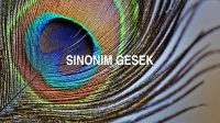 Sinonim Gesek