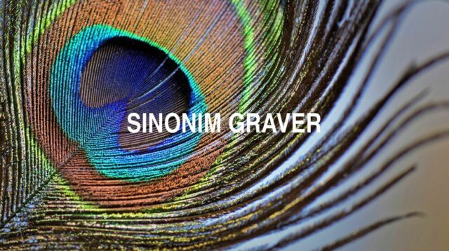 Sinonim Graver