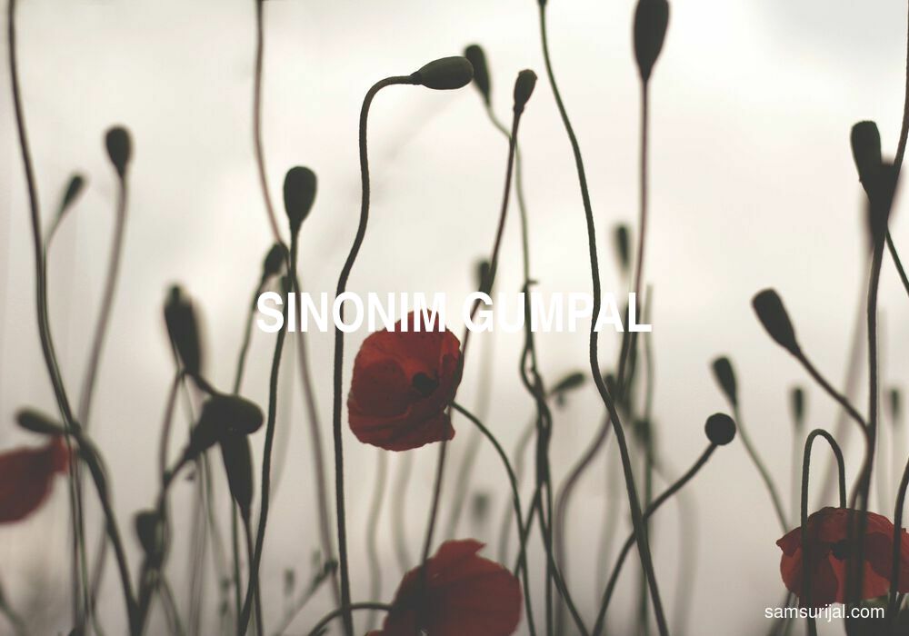 Sinonim Gumpal