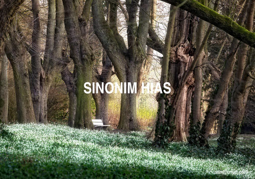 Sinonim Hias