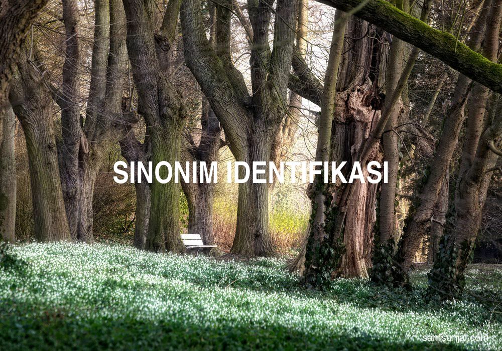 Sinonim Identifikasi