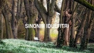 Sinonim Idulfitri