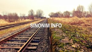 Sinonim Info