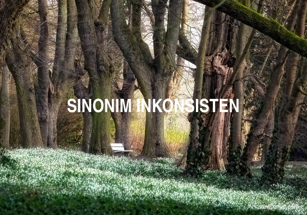 Sinonim Inkonsisten