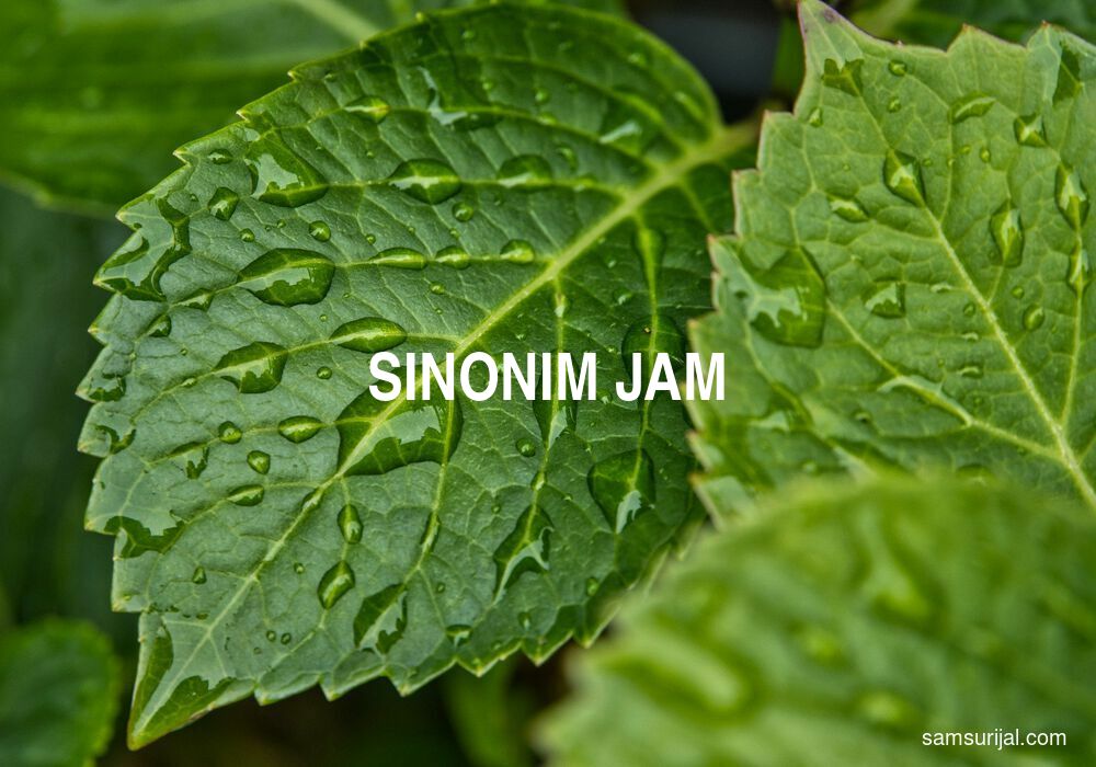 Sinonim Jam