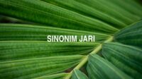 Sinonim Jari