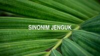 Sinonim Jenguk