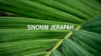 Sinonim Jerapah