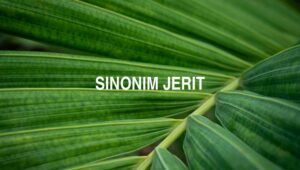 Sinonim Jerit