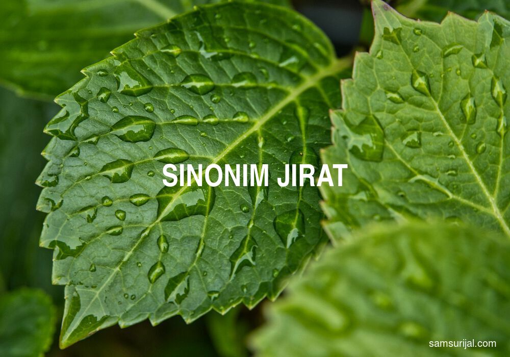 Sinonim Jirat