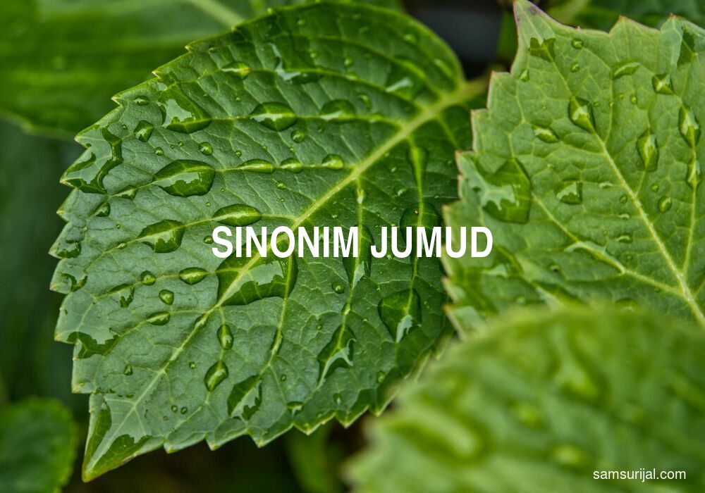 Sinonim Jumud