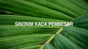 Sinonim Kaca Pembesar