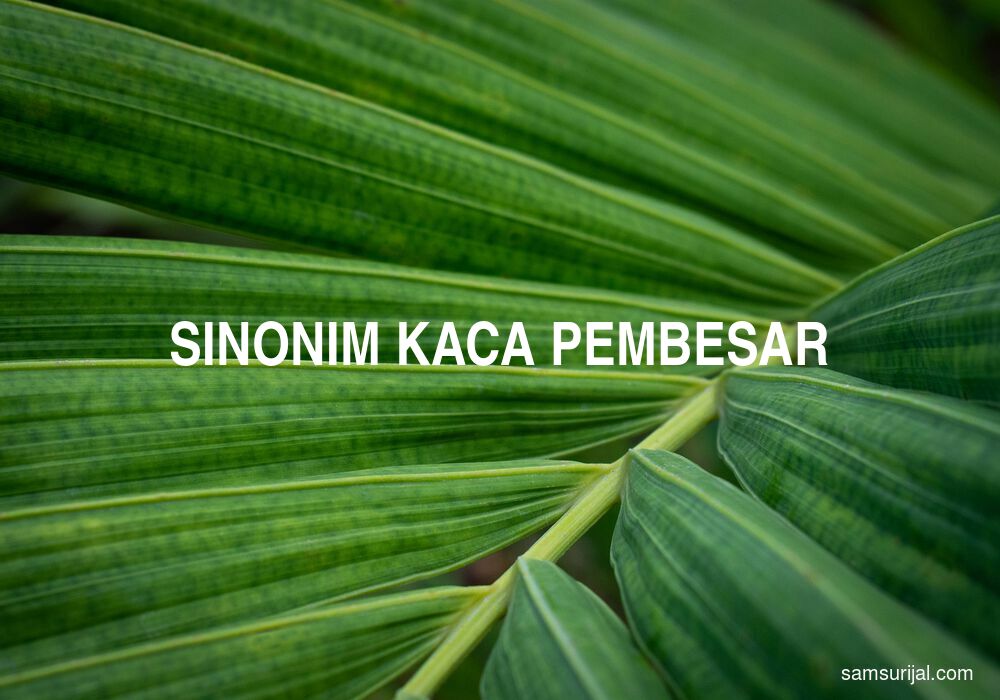 Sinonim Kaca Pembesar
