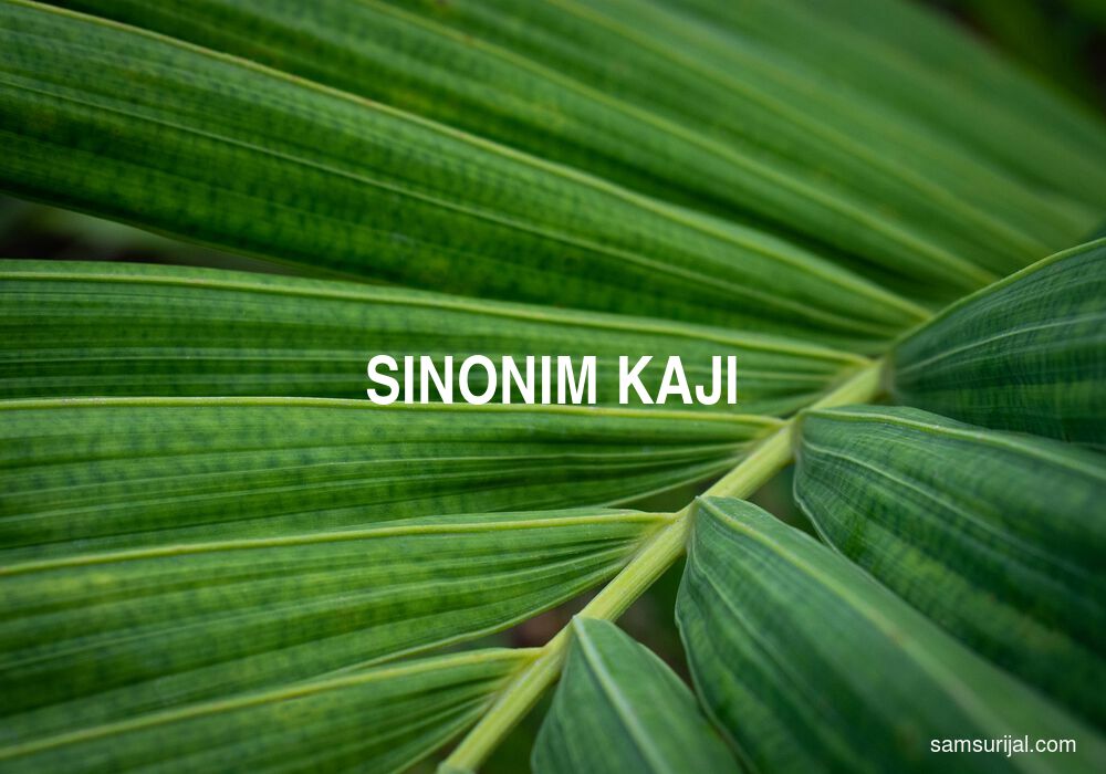 Sinonim Kaji