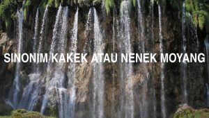 Sinonim Kakek Atau Nenek Moyang