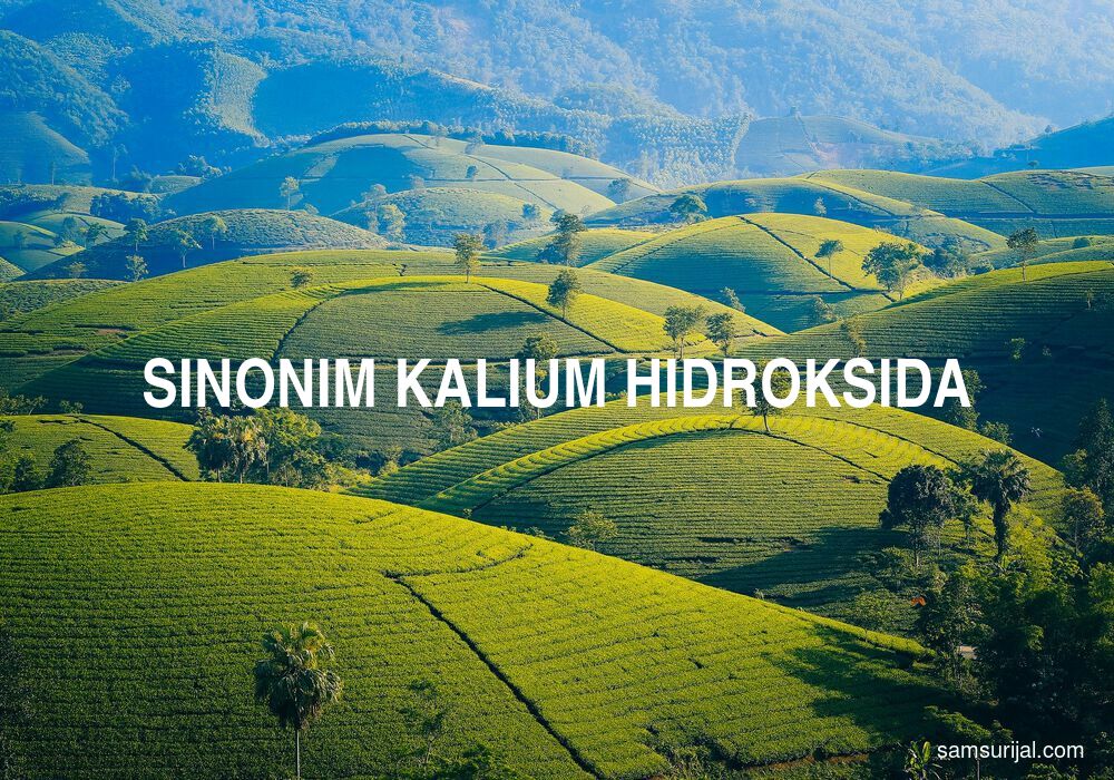 Sinonim Kalium Hidroksida