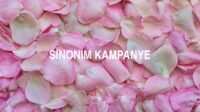 Sinonim Kampanye