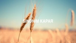 Sinonim Kapar