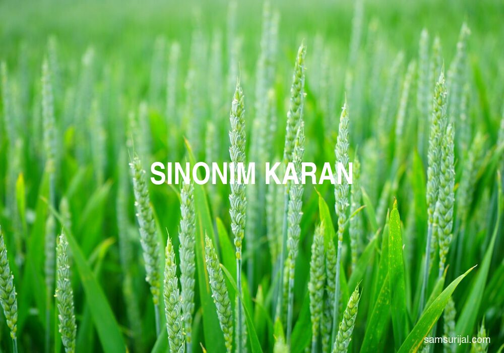 Sinonim Karan