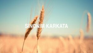 Sinonim Karkata
