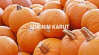 Sinonim Karut