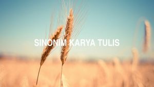 Sinonim Karya Tulis