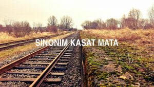 Sinonim Kasat Mata