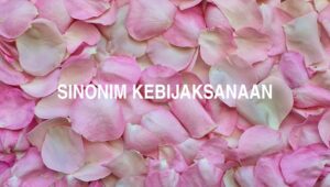 Sinonim Kebijaksanaan